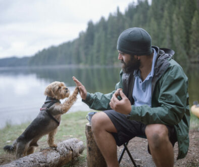 Writing a Pet Eulogy: Honoring Your Companion