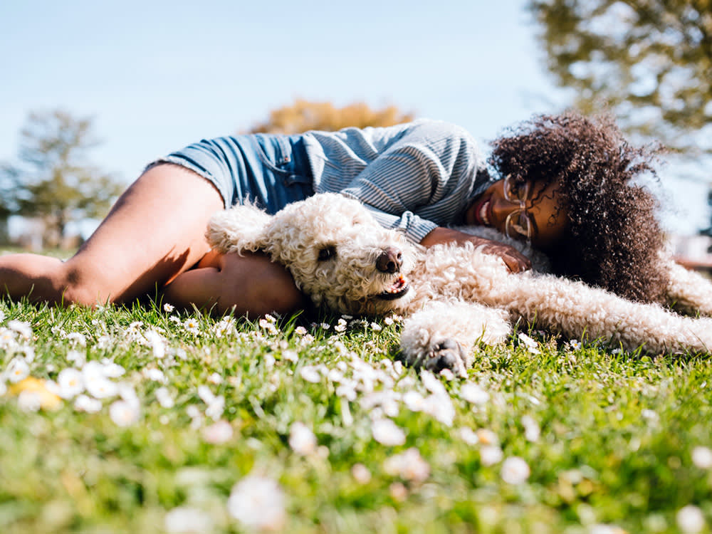 Writing a Pet Eulogy: Honoring Your Companion 
