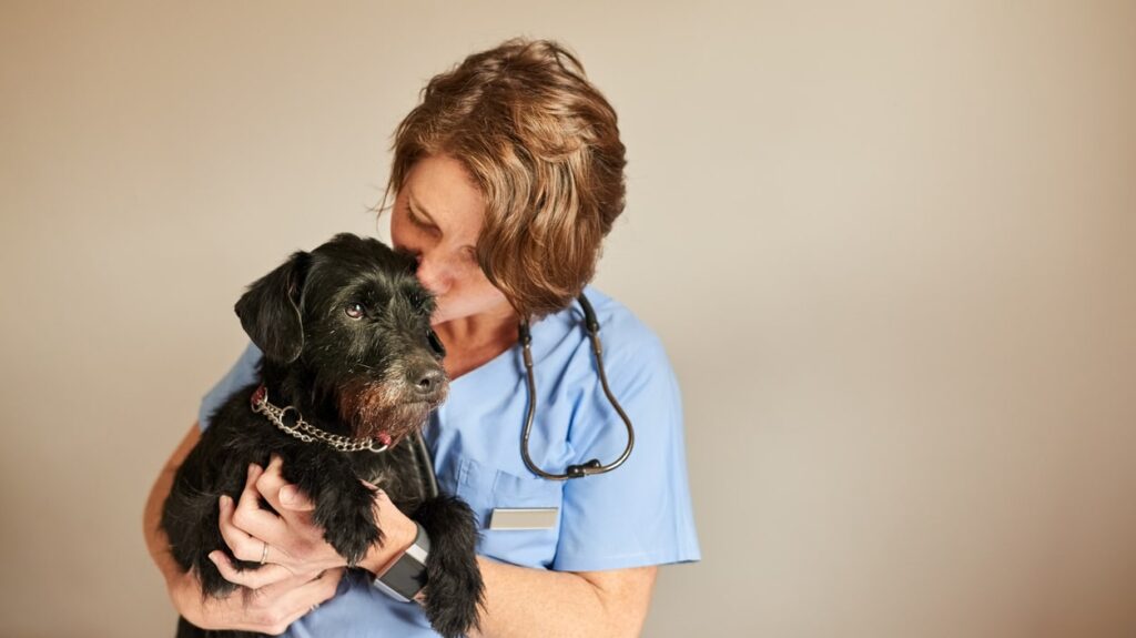 Handling the Loss of a Pet Due to Terminal Illness 