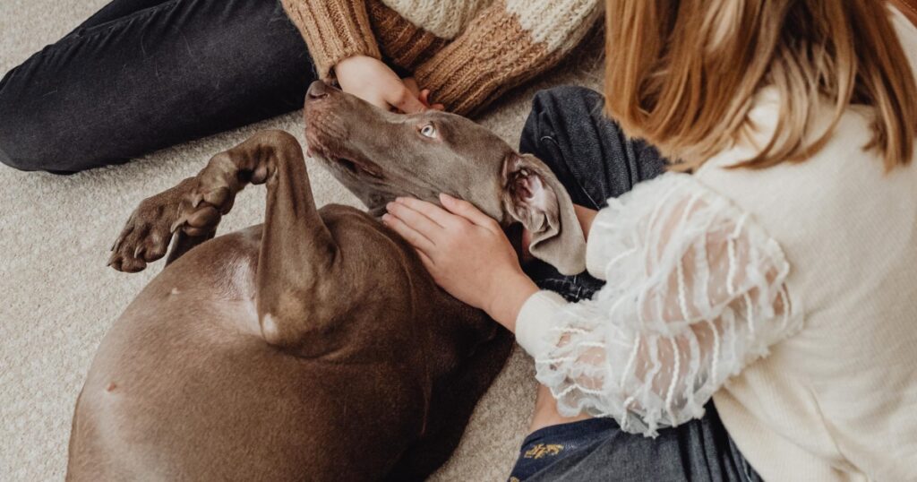Handling the Loss of a Pet Due to Terminal Illness 