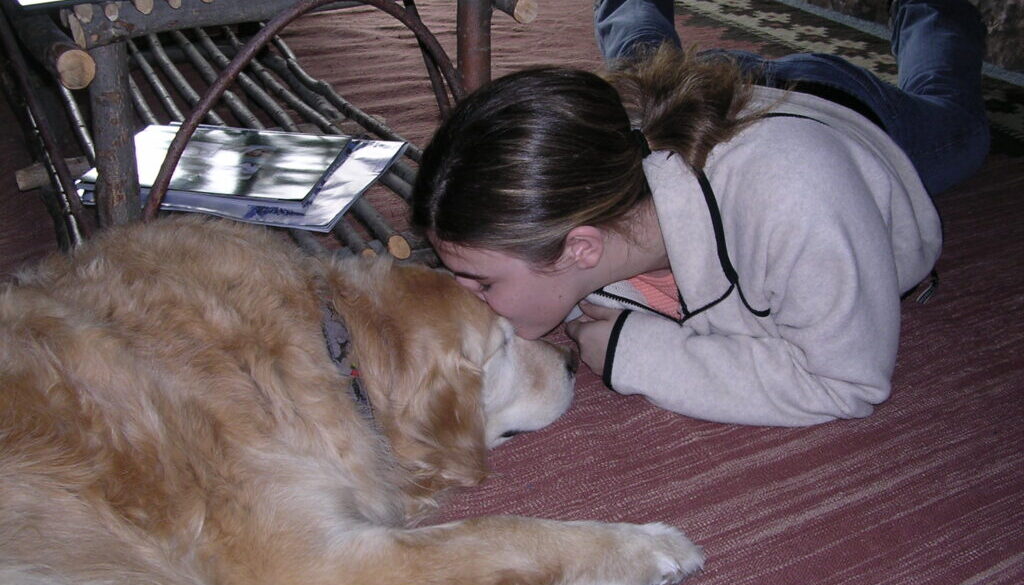 Handling the Loss of a Pet Due to Terminal Illness