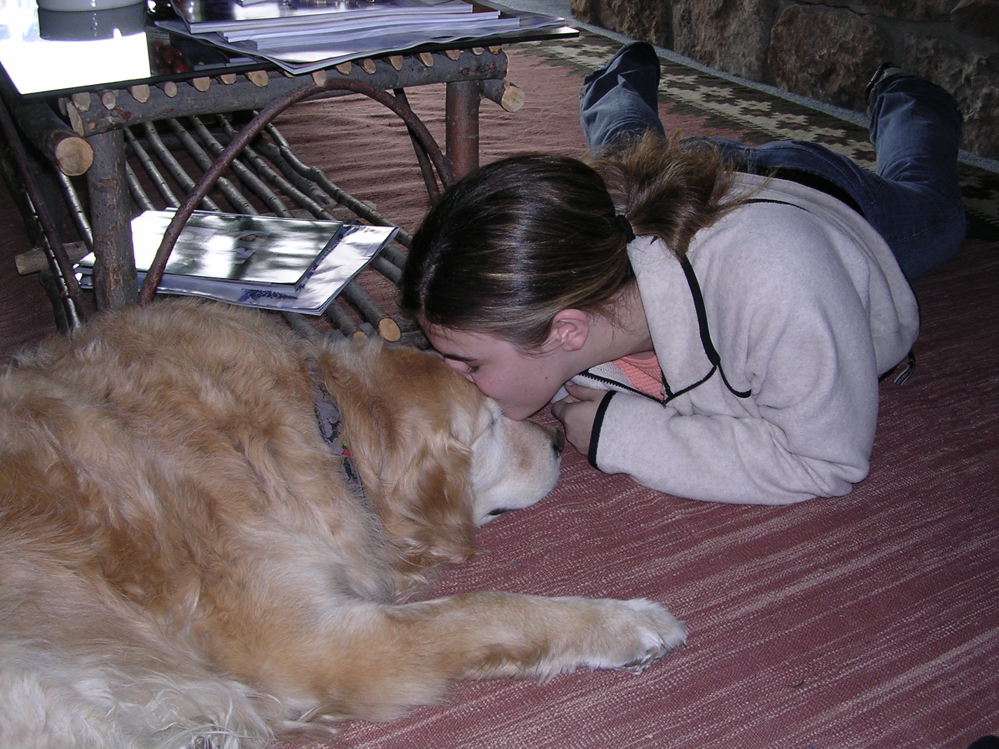 Handling the Loss of a Pet Due to Terminal Illness