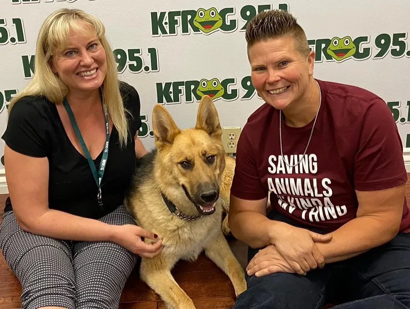 Introduction to Unleashed Pet Rescue: A Lifesaving Mission