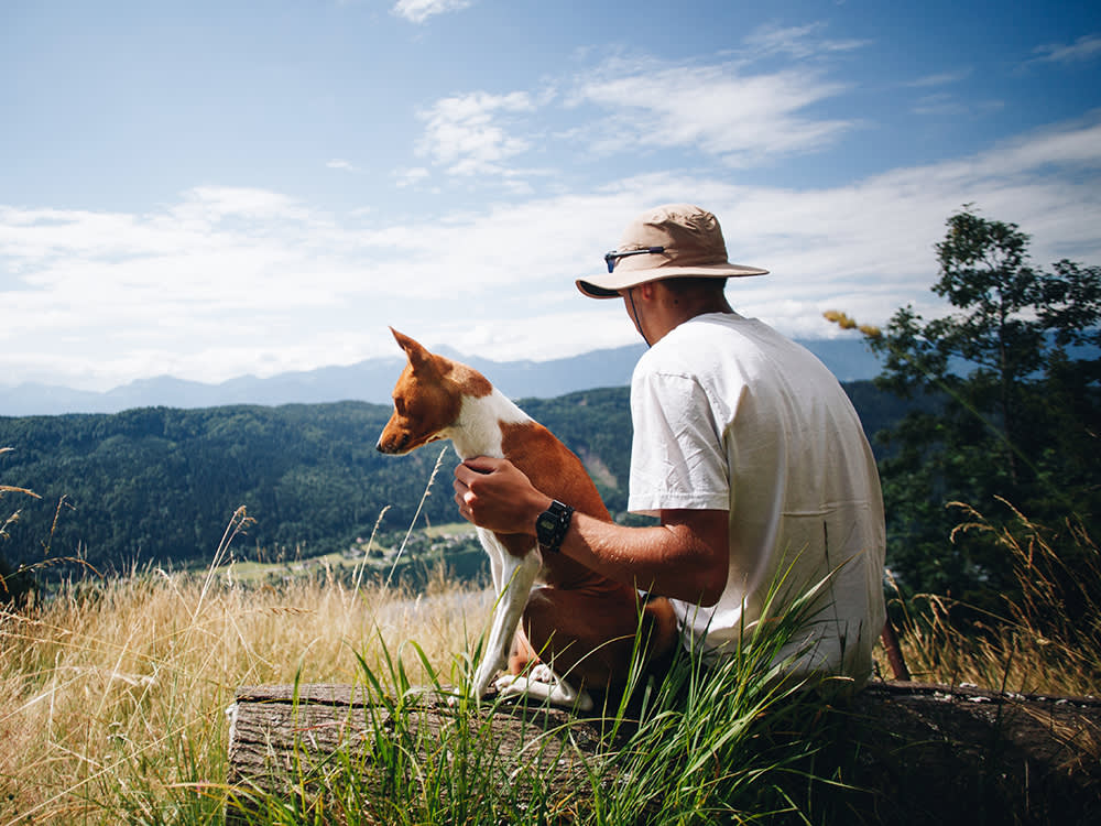 Pet Adoption and the Environment Sustainable Choices