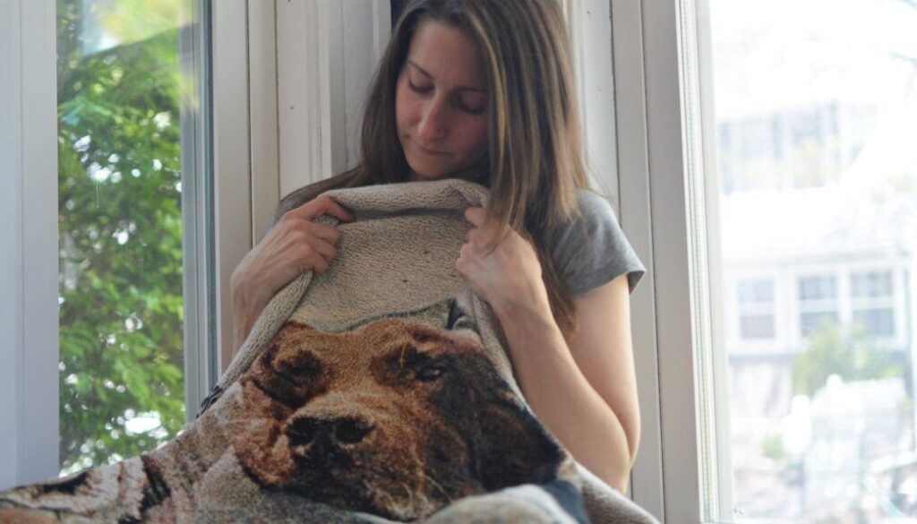 When to Consider Pet Bereavement Counseling