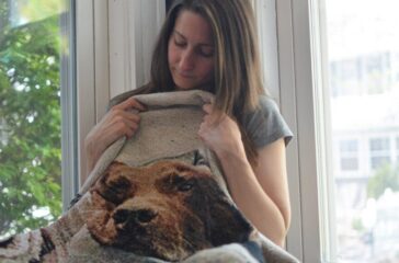 When to Consider Pet Bereavement Counseling