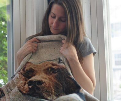 When to Consider Pet Bereavement Counseling